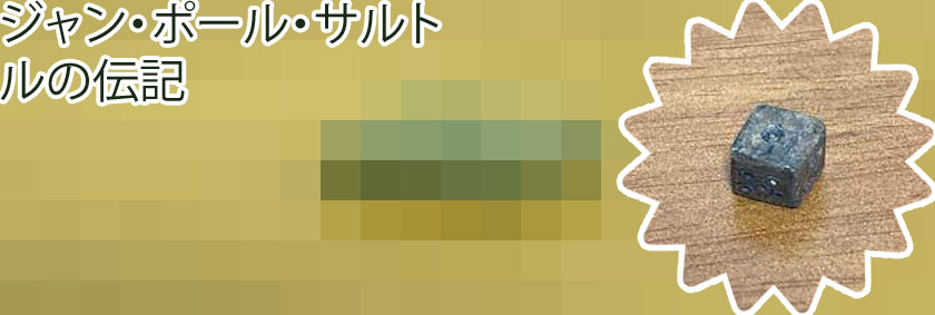 人生 サイコロ サルトル
